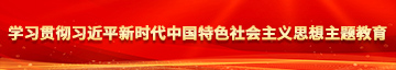 黄片操美女的小骚逼学习贯彻习近平新时代中国特色社会主义思想主题教育